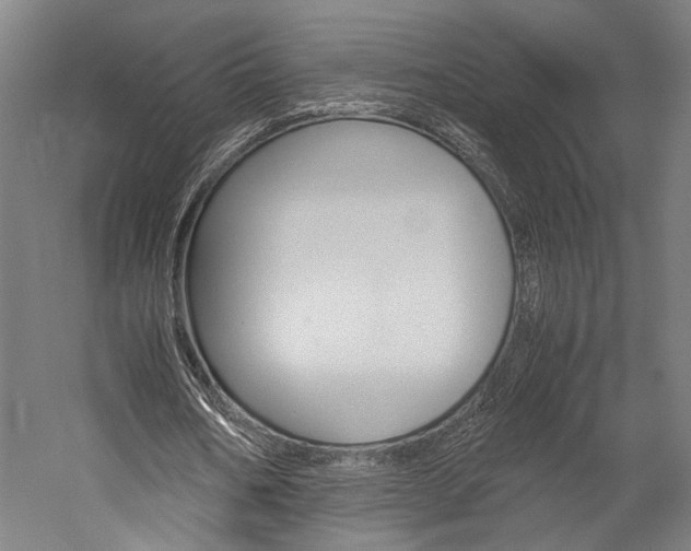 X0000060260578200510281011
