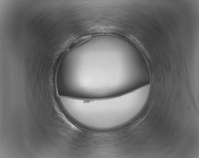 X0000060260581200510281011