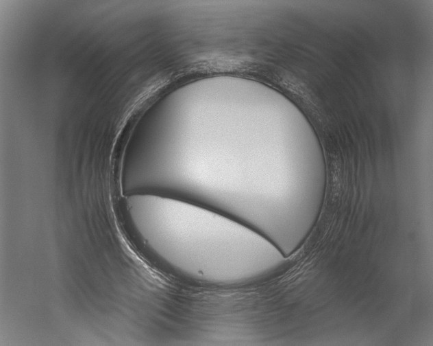 X0000060260582200510281011