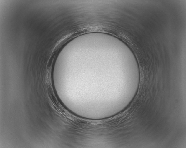 X0000060260583200510281011