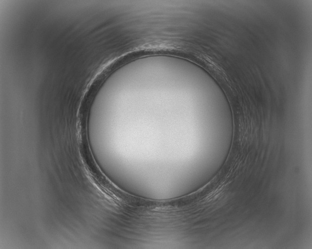 X0000060260584200510281011