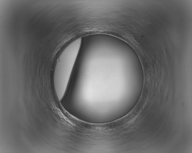X0000060260585200510281011