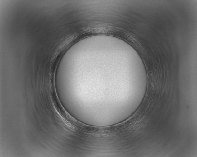 X0000060260586200510281011