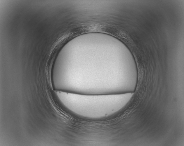 X0000060260587200510281011