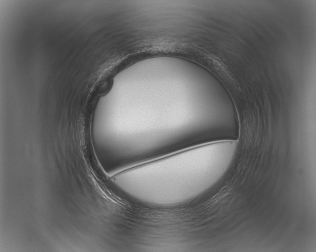 X0000060260588200510281011
