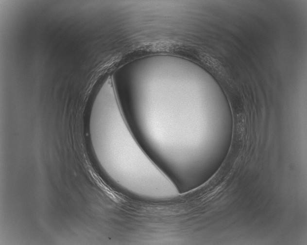 X0000060260589200510281011