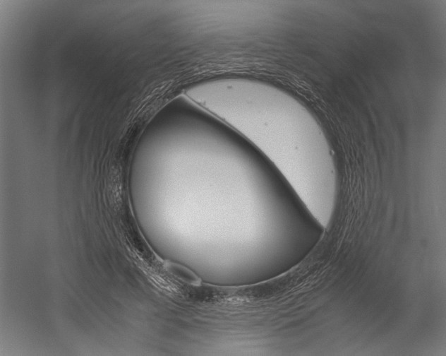 X0000060260593200510281011