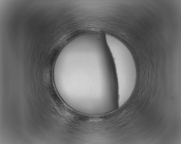 X0000060260595200510281011