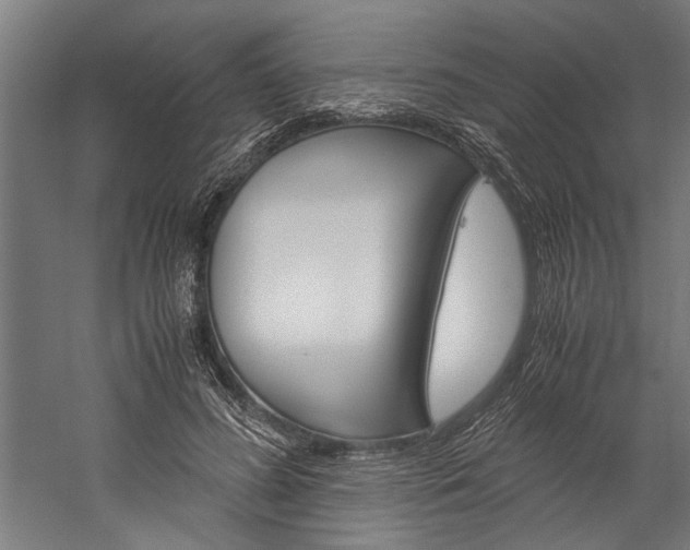 X0000060260596200510281011