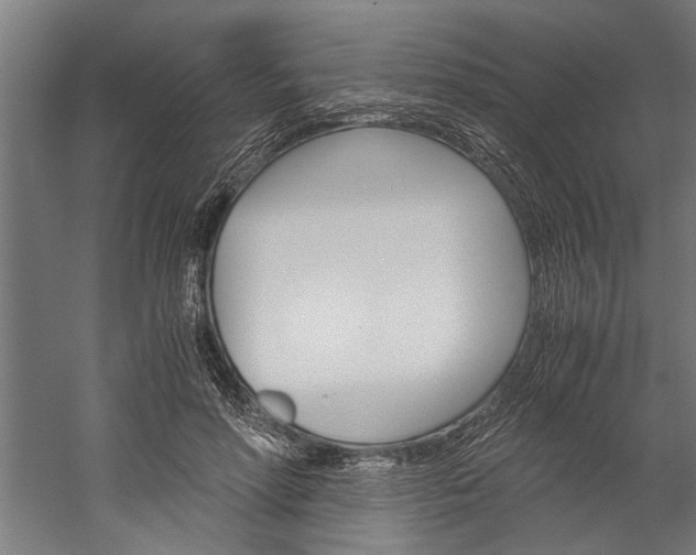 X0000060260598200510281011