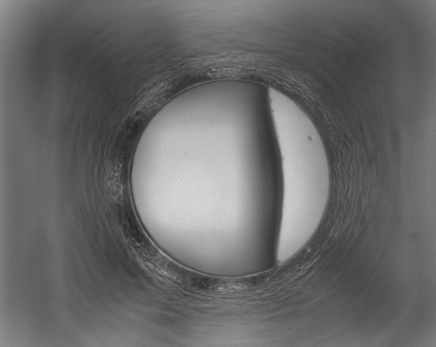 X0000060260599200510281011