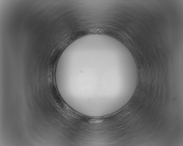 X0000060260602200510281011