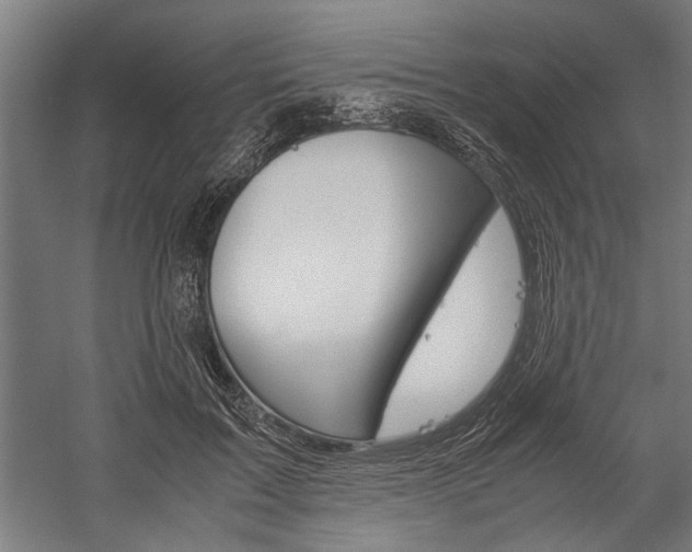 X0000060260603200510281011