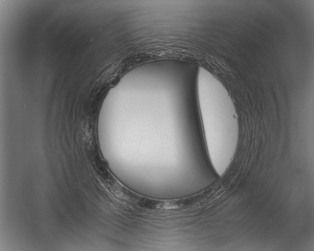 X0000060260607200510281011