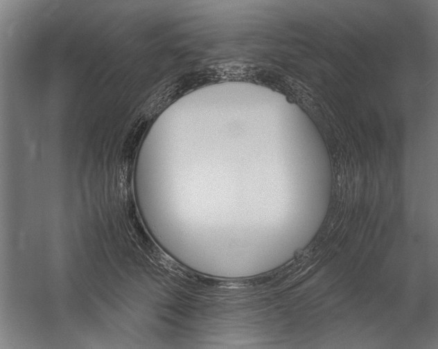 X0000060260610200510281011