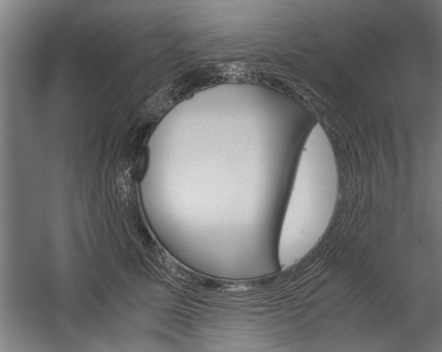 X0000060260611200510281010