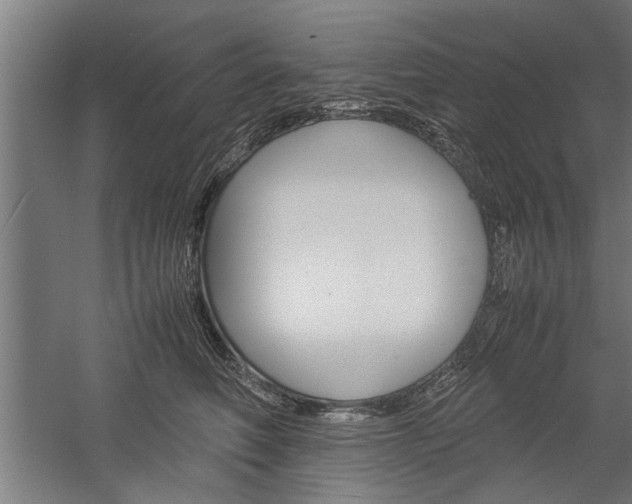 X0000060260614200510281010