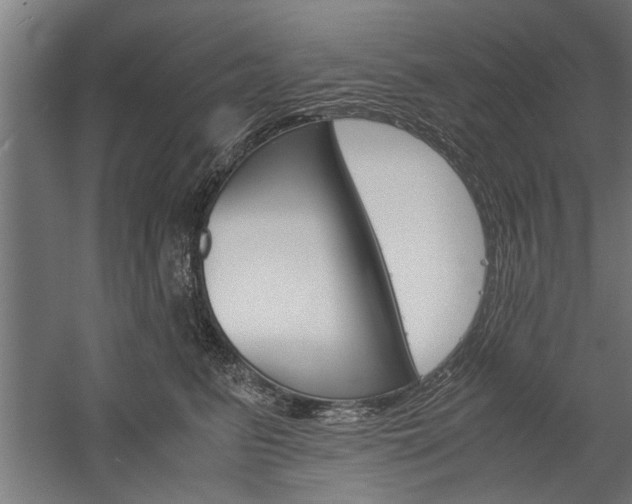X0000060260615200510281010