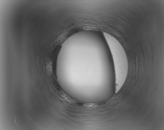 X0000060260621200510281010