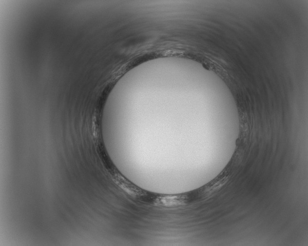 X0000060260622200510281010