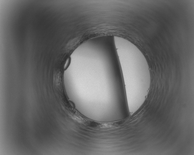 X0000060260623200510281010