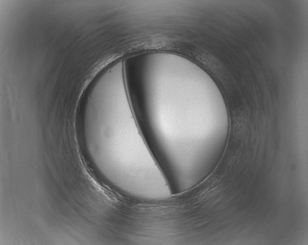 X0000060260626200510281009
