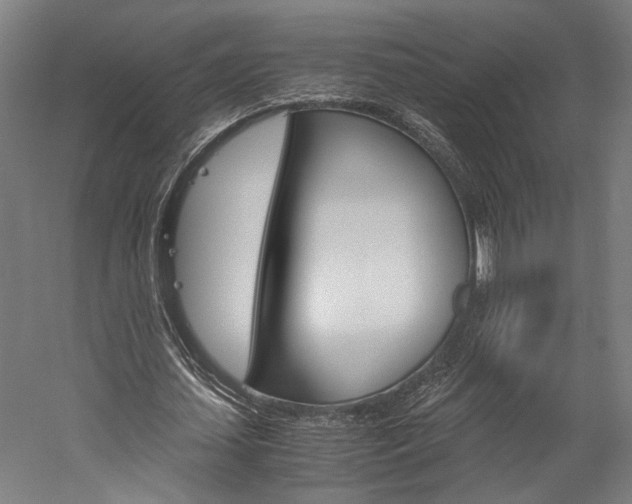 X0000060260627200510281009