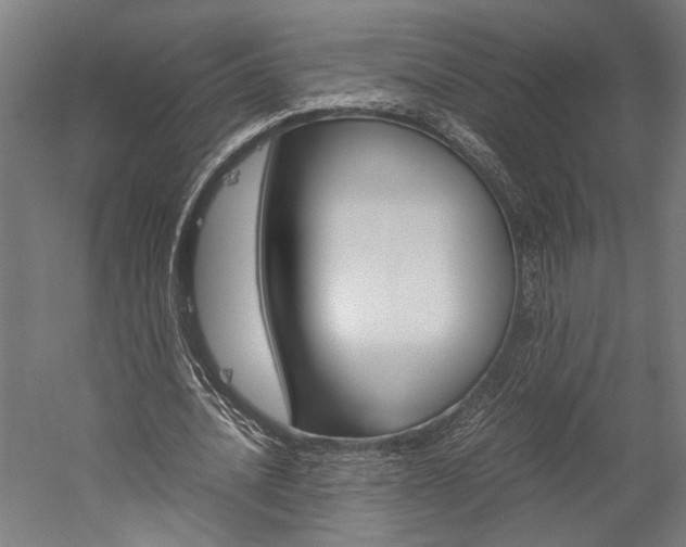 X0000060260628200510281010