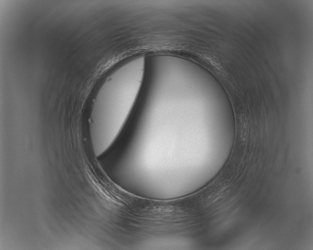 X0000060260631200510281010