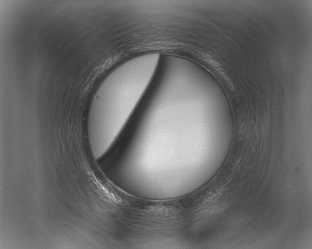X0000060260633200510281010