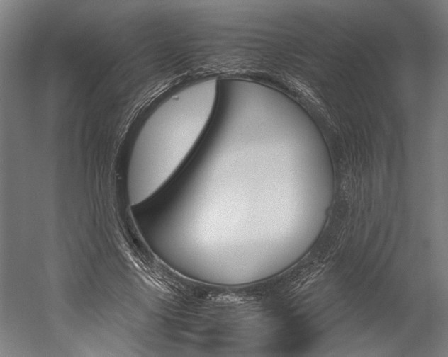 X0000060260635200510281010