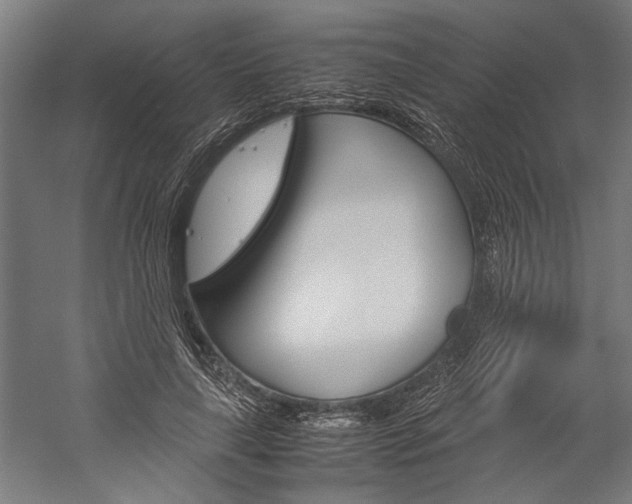 X0000060260643200510281010