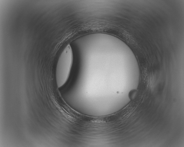 X0000060260644200510281010