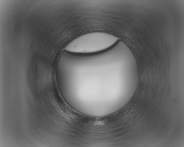 X0000060260647200510281010