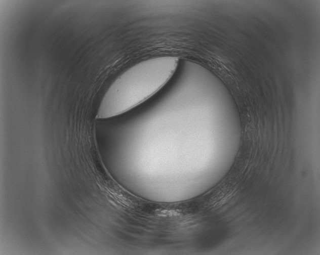 X0000060260649200510281010