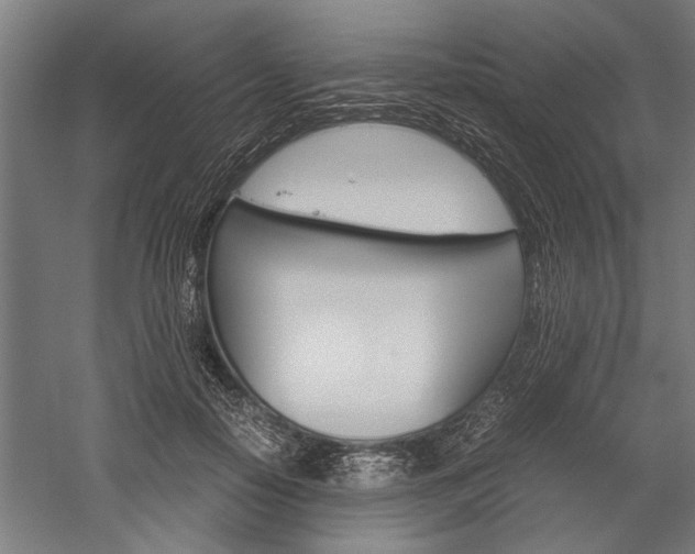 X0000060260650200510281010