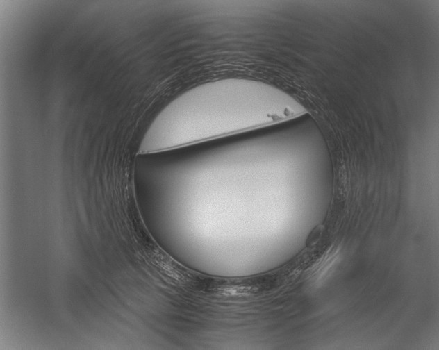 X0000060260657200510281010