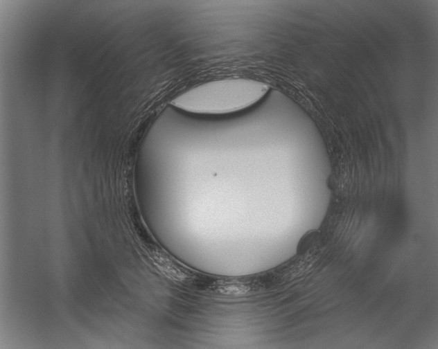 X0000060260658200510281010