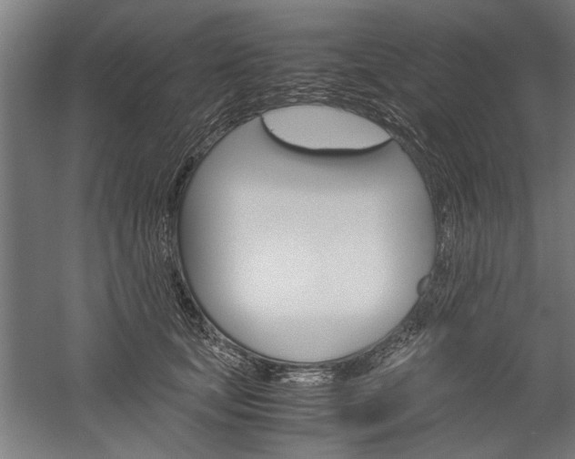 X0000060260659200510281010
