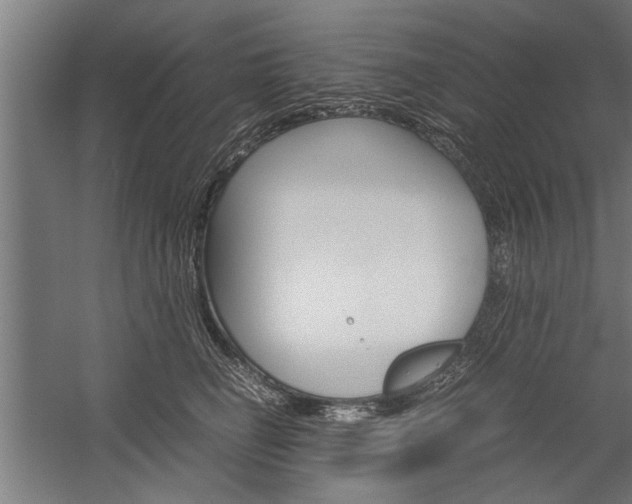 X0000060260662200510281010