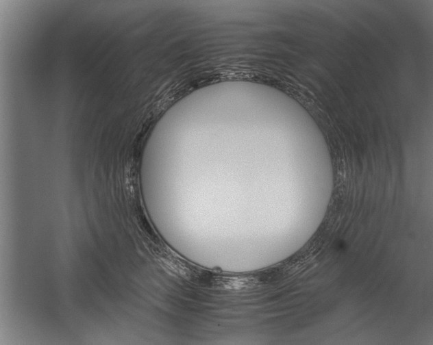 X0000060260663200510281010