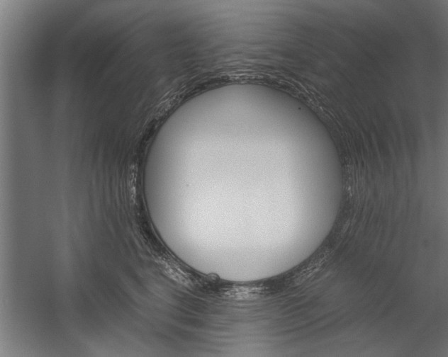 X0000060260664200510281010