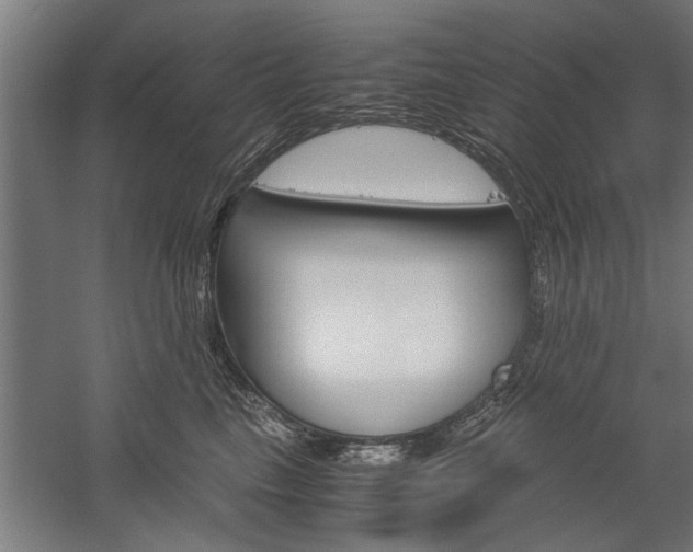 X0000060260665200510281010