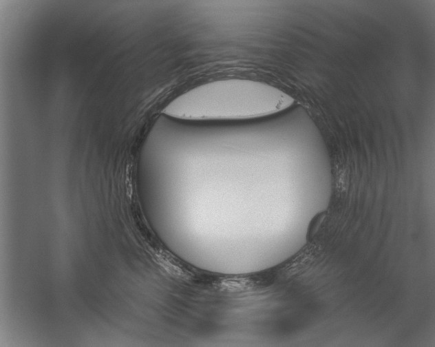 X0000060260666200510281010