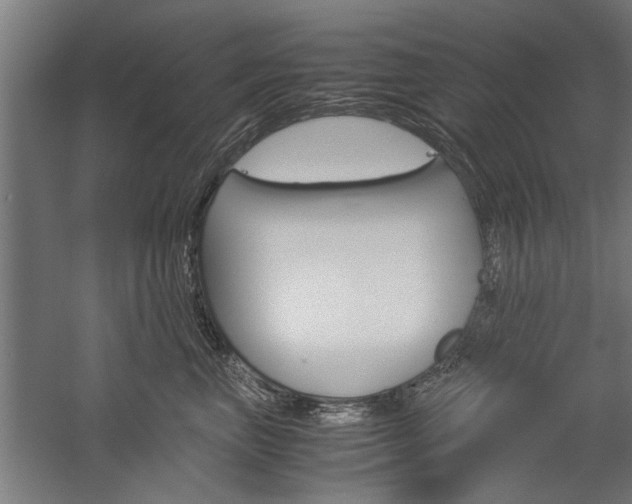 X0000060260667200510281010