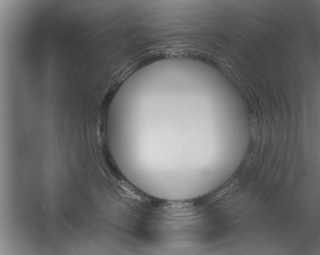 X0000060260670200510281010