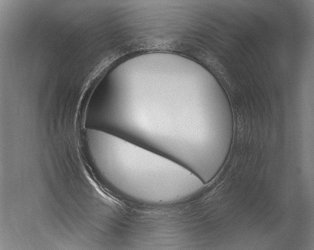 X0000060260674200510281009