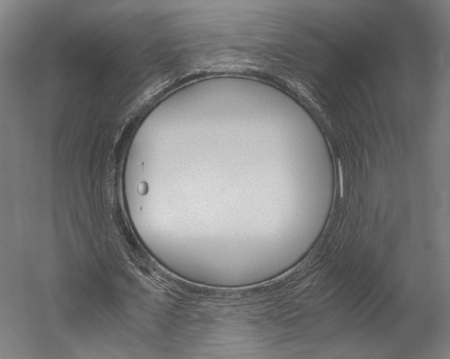 X0000060260675200510281009
