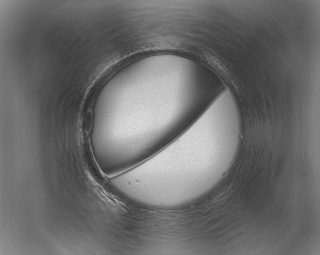 X0000060260676200510281009