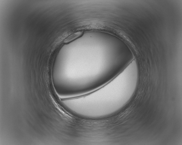 X0000060260677200510281009